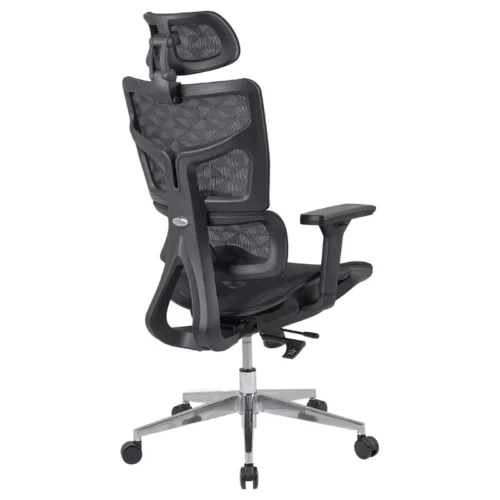 Ghế Công Thái Học GLE11