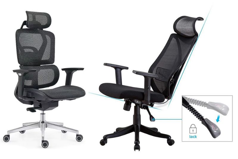 Độ cao lưng ghế và khả năng điều chỉnh