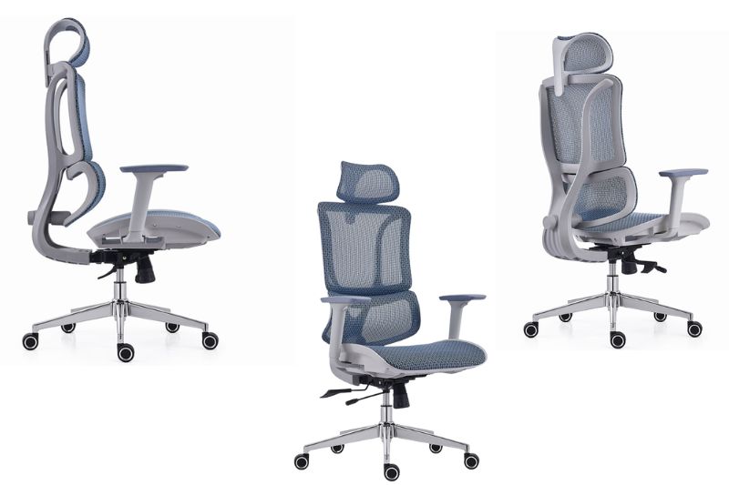 Ghế Công Thái Học A539