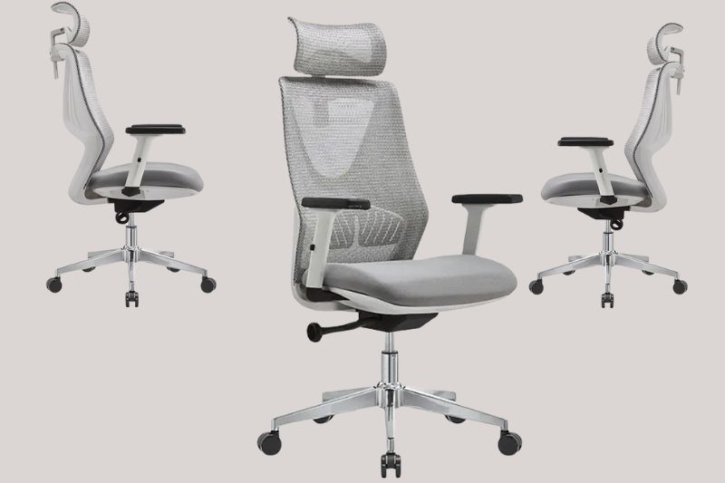 Ghế công thái học A514-1H