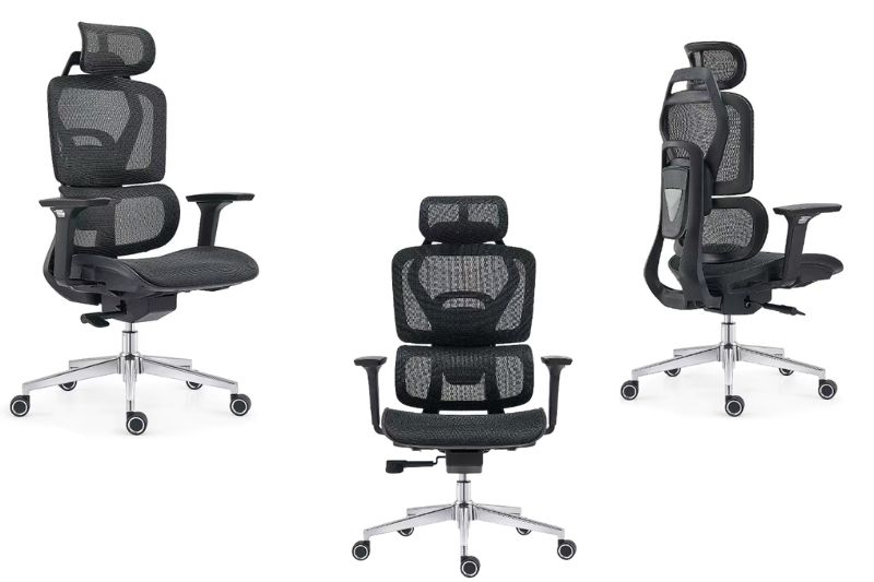 Ghế công thái học A567